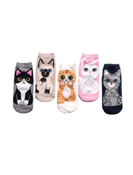 5 Çift Kedi Desenli Sevimli Çok Renkli Kadın Patik Çorap